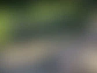 Woodlake (Sacramento), Ca Estate Sale