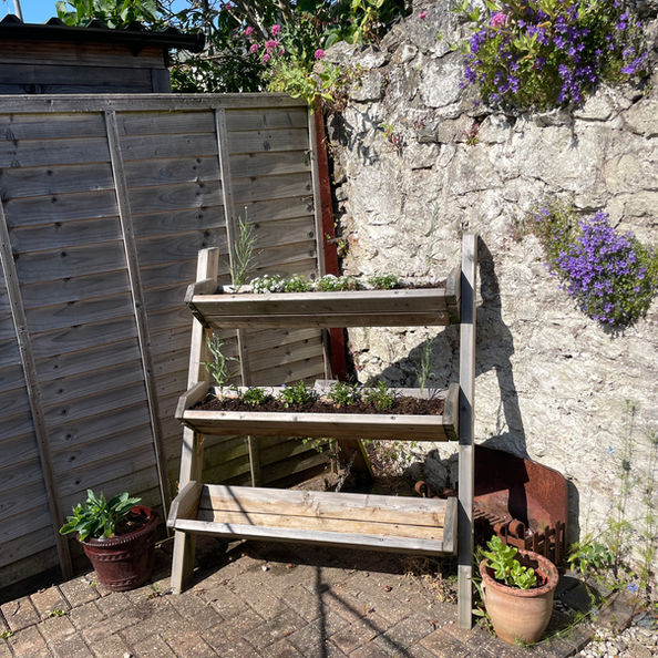 Lean to trough planter in a garden filled with plants and flowers
