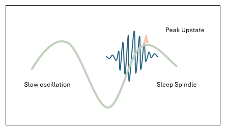 Novel targets for memory impairment in depression: Harnessing the potential of coupled sleep oscillations