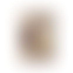 Book 90 - A Year of Magical Learning