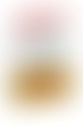 Book 97 - A Year of Magical Learning (Top 5 - Five Part Reflection)