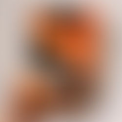 Book 205 - A Year of Magical Learning (5 of 5)