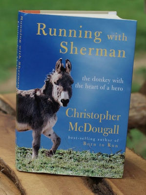 Book 172 - A Year of Magical Learning (Part 3/3)