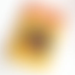 Book 281 - A Year of Magical Learning