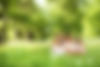 Banner-FamilyBackground.jpg