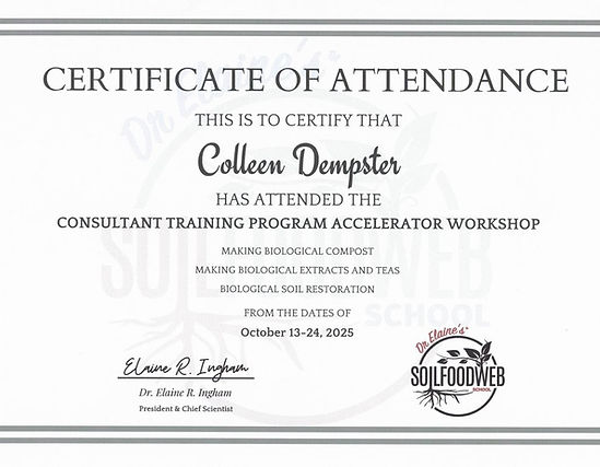 Capture CTPAW 2025 certificate.JPG