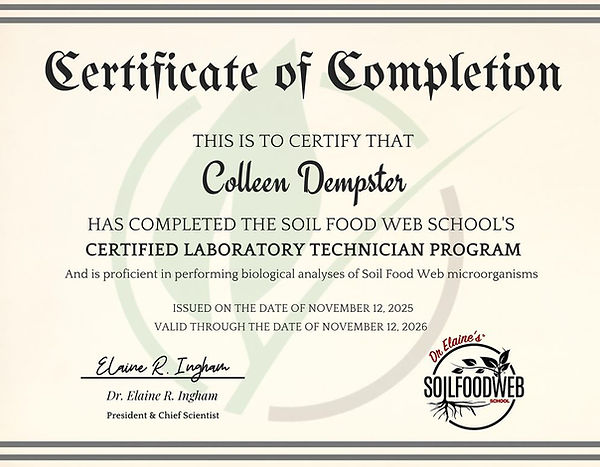 Capture Certificate 2025.JPG