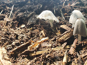 20210809_131229.jpg