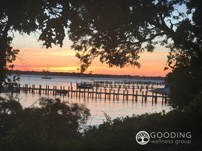 Good News from the Gooding Wellness Group: Summer 2025 Newsletter