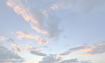 Facing Trauma Micro Course.png