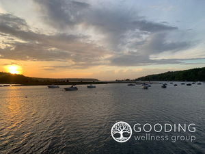 Good News from the Gooding Wellness Group: Spring 2025 Newsletter