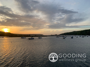 Good News from the Gooding Wellness Group: Spring 2025 Newsletter