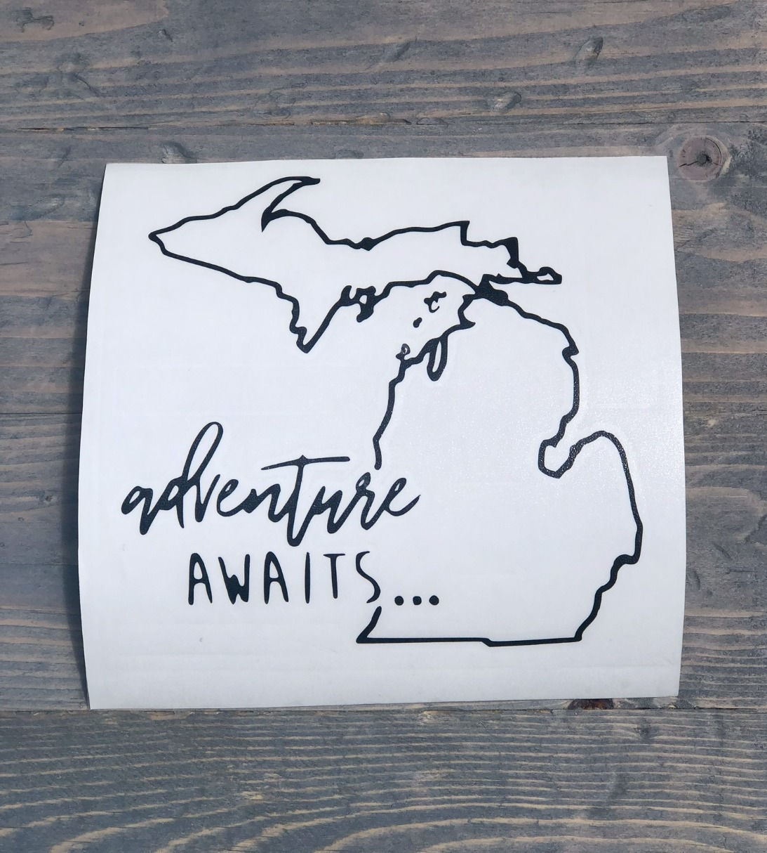 Michigan Adventure Awaits * Free Shipping*