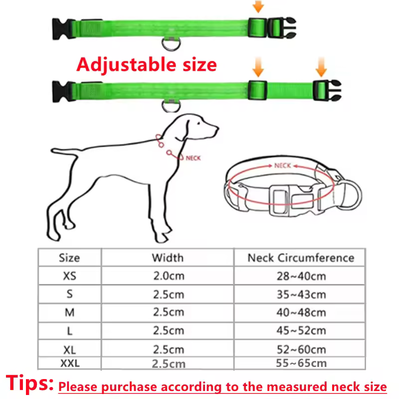 Hands-Free Dog Leash — Waist Belt with Bungee