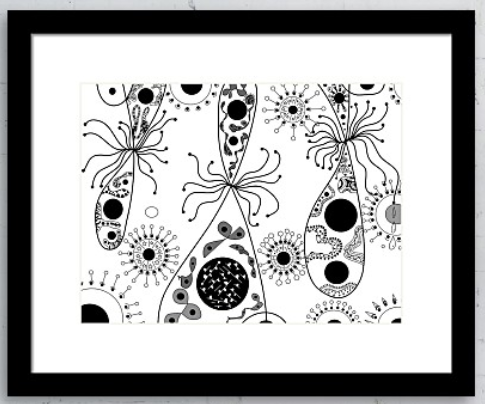 Framed Print 89