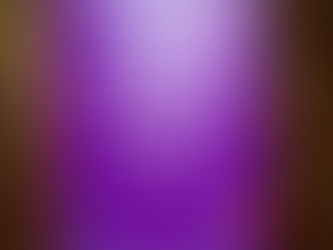 Was soll ich eigentlich essen? - Dr. Libby Weaver -Worauf kommt es bei einer optimalen Ernährung an?