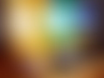 Wunder Brot Gold - Köstliches Brot für jeden Tag!