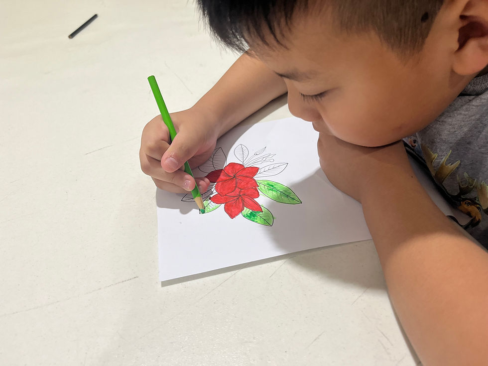Students Draw the Fragipani - a Balinese Flower