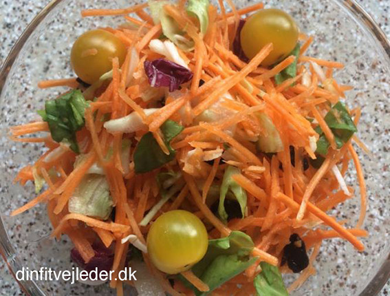 Enkel salat med bid til C9 - dinfitvejleder.dk