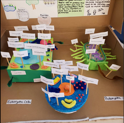 Screenshot 2025-08-06 at 12.36.58 PM