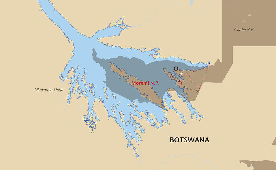 MOREMI-4NAsset 7.jpg