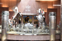 Sprit of The Old West.013