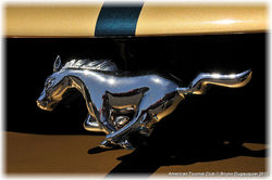 American-Tournai_Club_2013_004