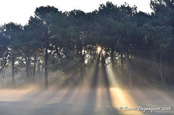 Zoute Concours d Elegance 2016_