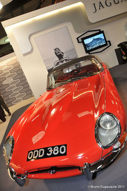 Goodwood Revival Ambiance 2011 (60)