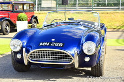 AC Cobra 289 Roadster sn COB 6052 .