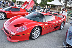 Exotics on Cannery Row Monterey  (22)