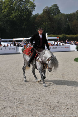 Chantilly_Arts_et_Elegance_Richard_Mille_2014_035