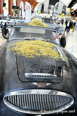 Austin Healey 3000 MK III Barn Find