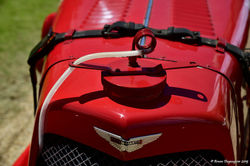 70_ans_d'Aston_Martin_à_Goodwood.050