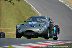 Aston_Martin_Centenary_2013_071