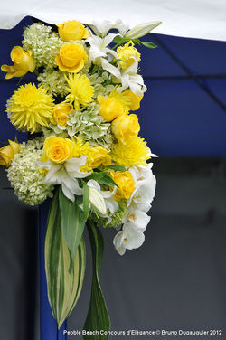 Pebble Beach 2012_085