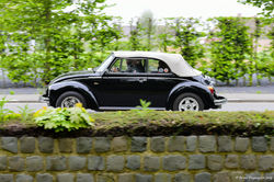 Randonnée_du_Muguet_2019.021