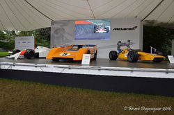 McLaren Display