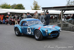 AC Shelby Cobra_.004