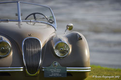 Jaguar XK 120.