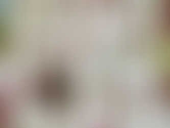 Jill Seward Holiday Trees and House Quilt