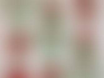 Delfina Guerra's Christmas Wall Hanging and Table Runner