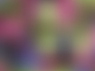 Delfina Guerra Hip to be Square Quilt