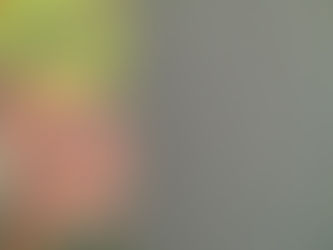 Jill Seward's Gray with Rings Block Quilt