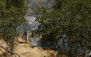 הגישו מועמדות כעת | אקדמיית הקיץ למנהיגים צעירים 2026:
שינויי אקלים וביטחון