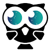 niteowllogo.gif