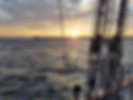 20190726_201525.jpg