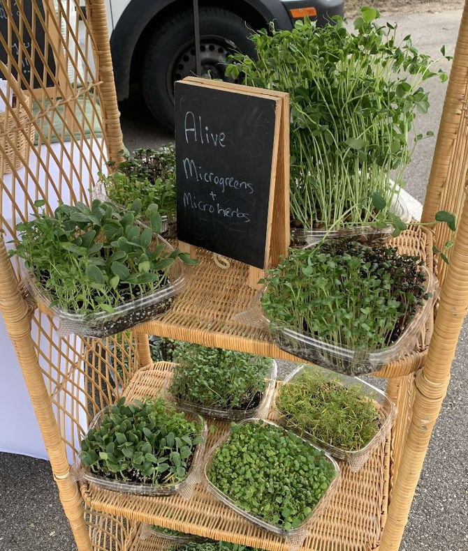 Sun, Cold, Storm, Repeat