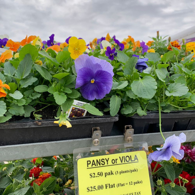 Mother's Day Weekend