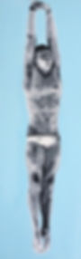 Olympic Dive